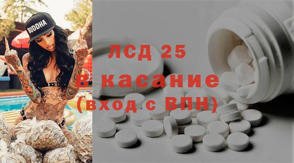 прущие грибы Алексеевка