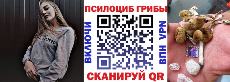 Псилоцибиновые грибы GOLDEN TEACHER  Купить где  Подпорожье 